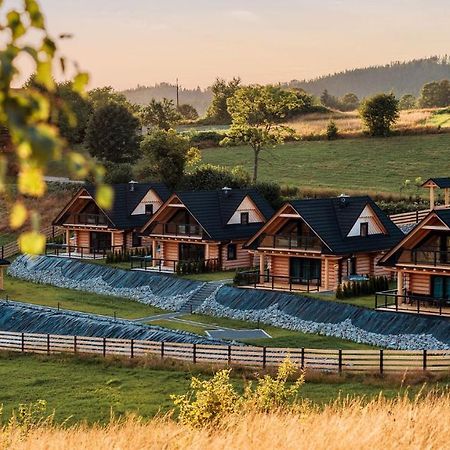 Osada Miod Malina Villa Istebna Exterior foto
